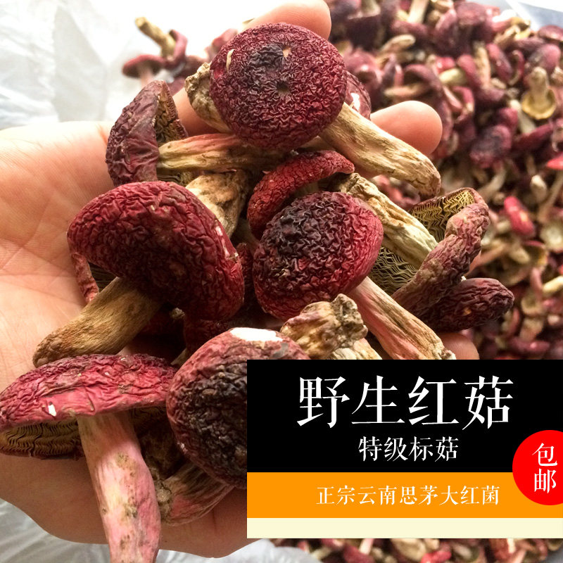 红菇正宗大红菌干货云南普洱山里新品250g非福建武夷山孕妇月子菇