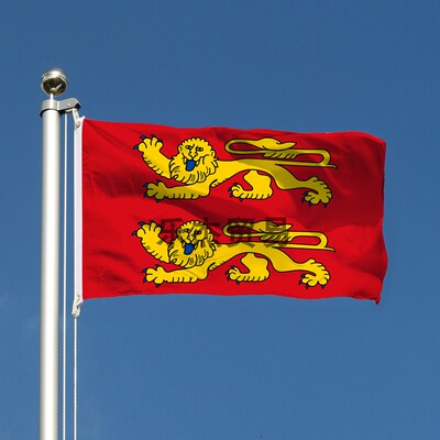 法国诺曼底大区旗 France Normandie Flag 90*150cm/60*90cm