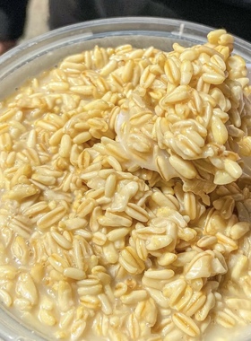 甘肃特产甜胚子小吃放哈甜胚子奶茶店老兰州酸奶燕麦莜麦甜醅子