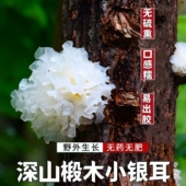 2025年东北长白山椴木小银耳干货110g软糯银耳羹出胶雪耳无硫新货