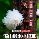2025年东北长白山椴木小银耳干货110g软糯银耳羹出胶雪耳无硫新货
