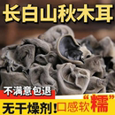 正宗东北长白山特产级黑木耳干货500g秋木耳散装 肉厚野柞木山木耳