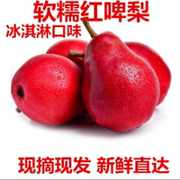 啤酒梨紅皮水果當季新鮮水果正箱西洋梨子軟梨紅啤梨1-9斤包郵