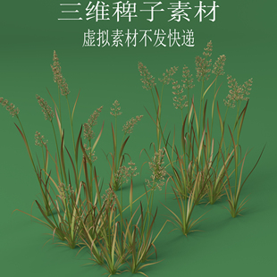三维C4D稗子素材3ds稗草fbx扁扁草obj植物花草