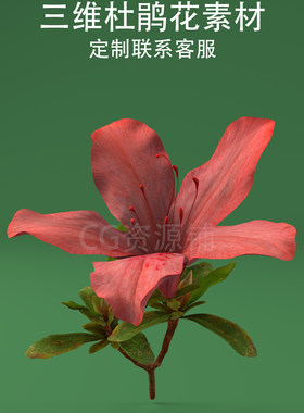 C4D杜鹃花3ds映山红fbx山花obj忠贞花ai模型生成二次开发混元3D