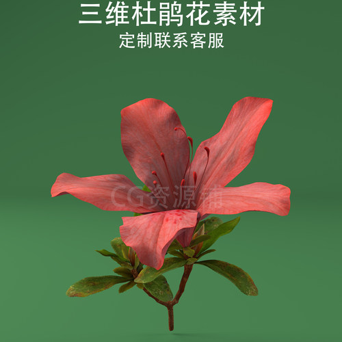 C4D杜鹃花3ds映山红fbx山花obj忠贞花ai模型生成二次开发混元3D