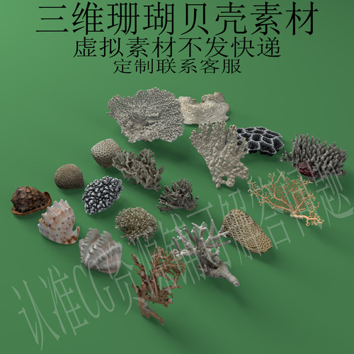 三维C4D珊瑚贝壳素材3ds海洋生物fbx海底场景obj