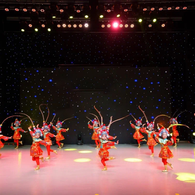 小舞蹈家沁园春雪舞蹈服儿童京剧戏曲演出服刀马旦花木兰演出服装