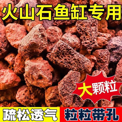 天然火山石鱼缸专用颗粒底砂滤材铺面定植水草造景古法养鱼水族