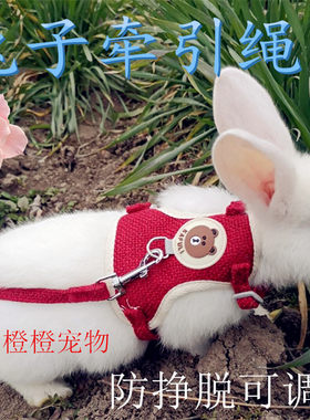 兔子牵引绳可调节防挣脱遛兔绳