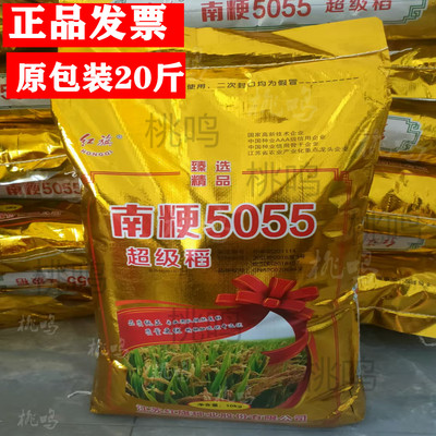 水稻香米种子南粳5055稻谷种籽