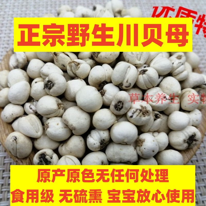 正品野生川贝母中药材 食用级无硫 小孩泡茶痰川贝枇杷茶咳 包邮