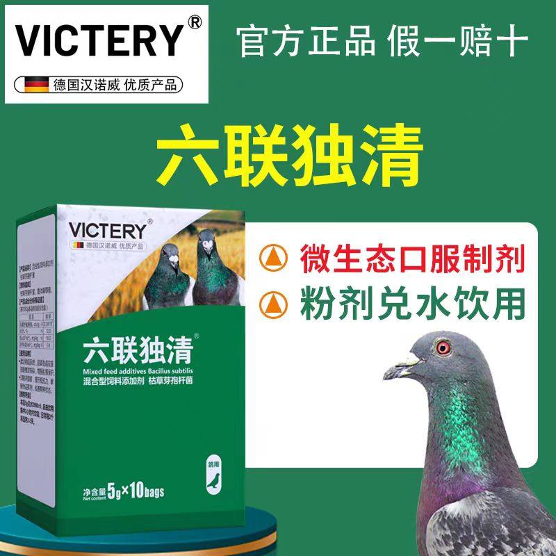 汉诺威六联独清鸽子鹦鹉病毒流感水便鸟疫苗抗病毒专用