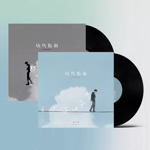 正版 毛不易 2022新专辑 幼鸟指南 黑胶同行版 2lp黑胶唱片 周边