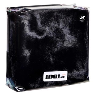 正版 李大奔 IDOL 我 CD唱片 2023专辑