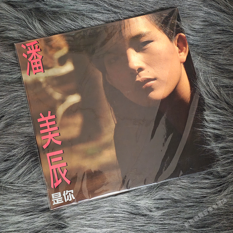 正版 潘美辰 是你 我想有个家 LP黑胶唱片 风潮音乐