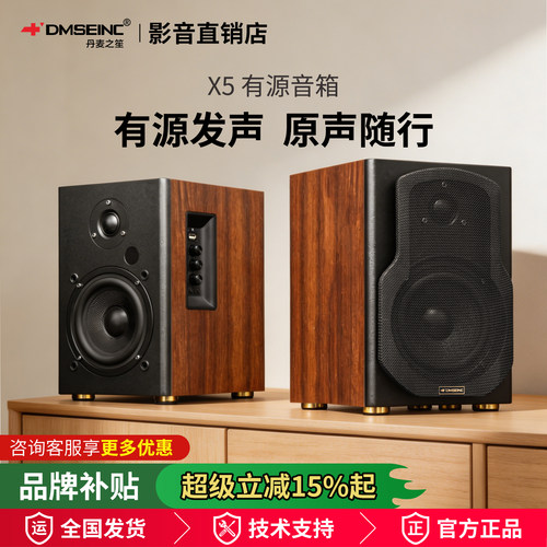 丹麦之笙X5全木质书架音箱蓝牙