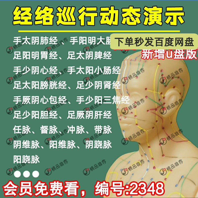 经络巡行动态演示中医视频大合集自学零基础入门精通