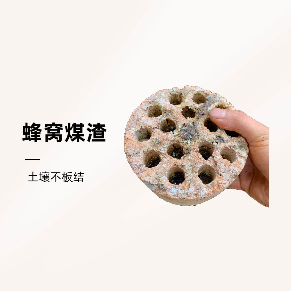 蜂窝煤渣去硫煤球渣多肉兰花煤炭渣营养土防板结颗粒淘洗浸泡干净
