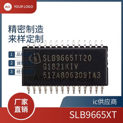 进口 SLB9665TT20 SLB9665XT 微控制器芯片TSSOP28原装正品ic直拍