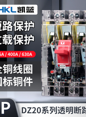 DZ20Y-225/3300塑壳断路器380V三相三线空气开关透明外壳400A630A