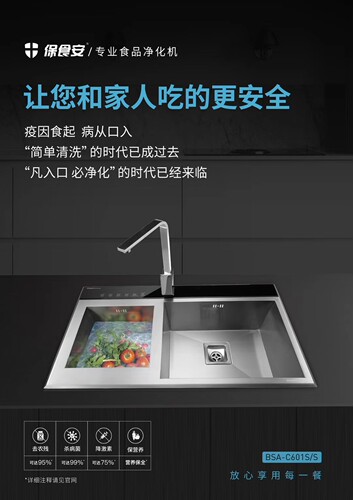 保食安 洗菜机 果蔬清洗净化机 水槽机 BSA-C601S（无水龙头)