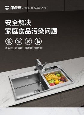 保食安 洗菜机 果蔬清洗净化机 水槽机 BSA-C603S（无水龙头)