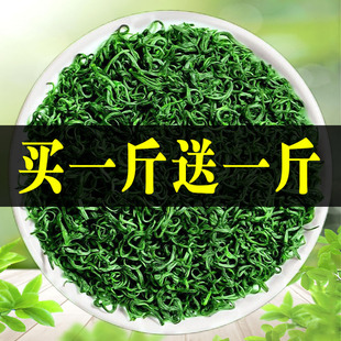 高山云雾绿茶2026新茶浓香型日照充足散装 1000g 买一斤送一斤