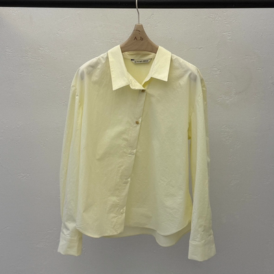 韩国正品代购 AUTUMN BEIGE PLUS春季新款经典通勤长袖翻领衬衫