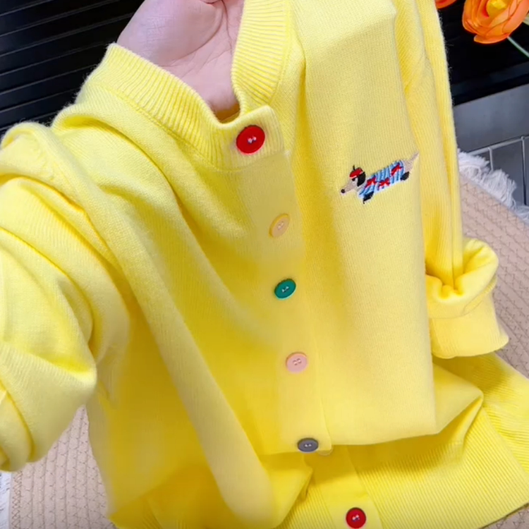 多巴胺风彩扣腊肠狗刺绣圆领针织开衫女秋冬款宽松显瘦毛衣外套潮