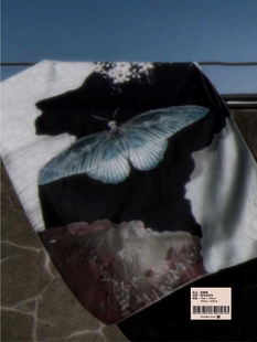 福利款*No!why shop歪店复古小众背景布挂布“蓝蝴蝶”卧室装饰布