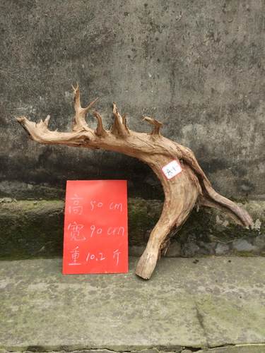 陈化柏树根雕毛料随型枯木diy