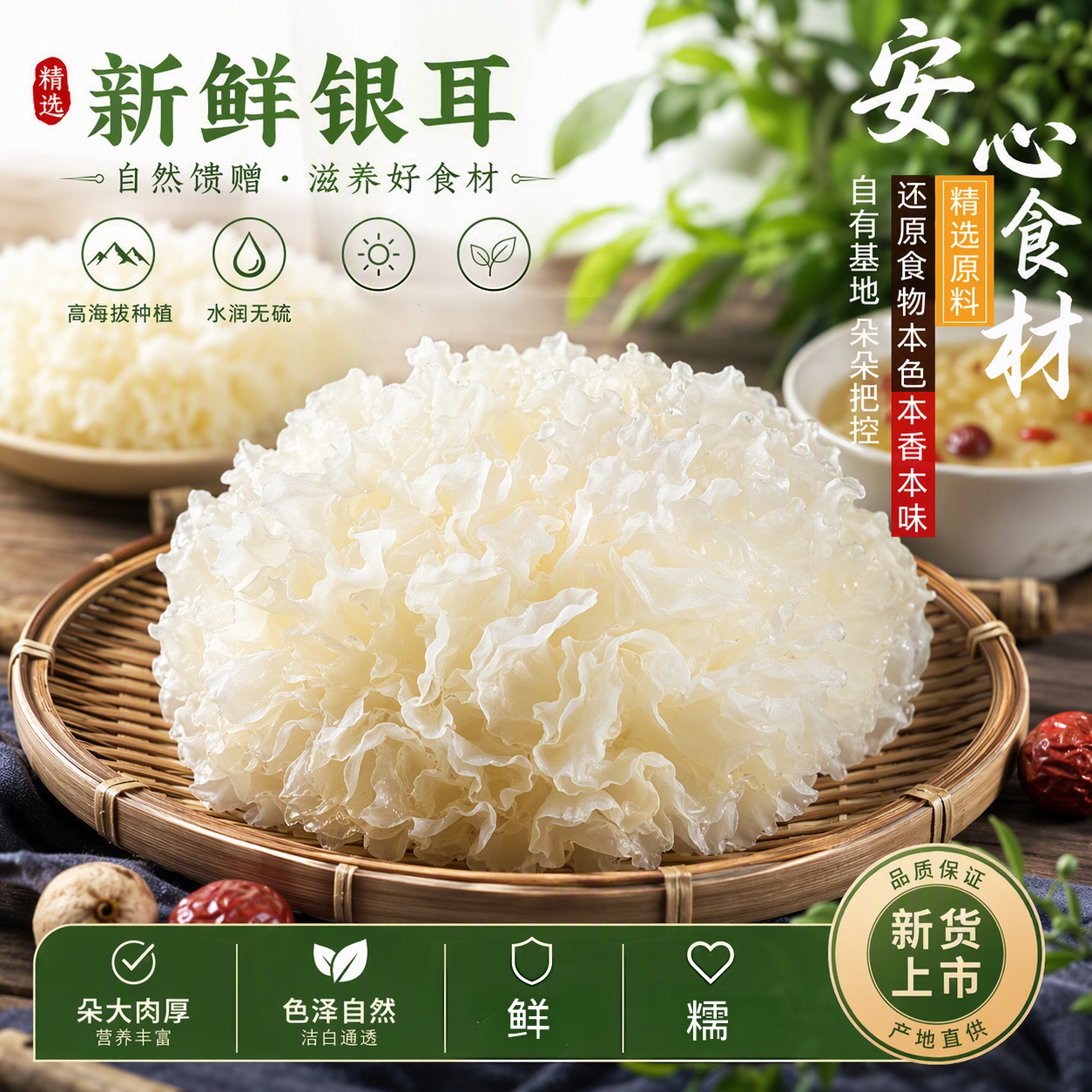 新鲜银耳6朵盒装鲜活耳 深山雪耳特级白木耳软糯胶多包邮现采现发