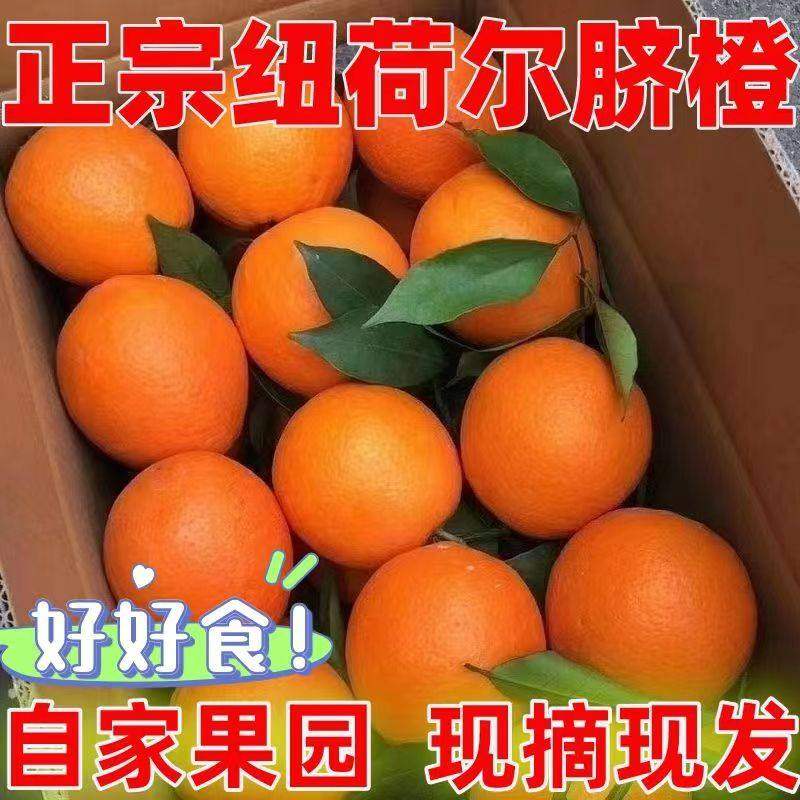 【顺丰包邮】当季橙子巫山纽荷尔脐橙新鲜水果冰糖甜橙榨汁整箱,水产肉类/新鲜蔬果/熟食,橙,淘宝优惠券,粉丝福利购,淘宝优惠卷