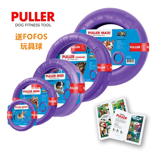 乌克兰进口Puller紫环宠物狗狗互动玩具巡回浮水比赛用环户外飞盘