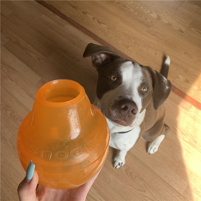 PlanetDog狗玩具丰容探长球漏食