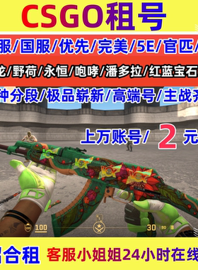 CSGO租号CS2完官匹美5E租永恒纪念龙狙661淬火宝石迈阿密蝴蝶刀