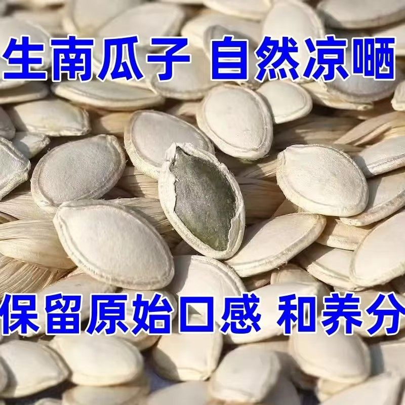 正宗老南瓜籽生南瓜子新货新鲜无干燥剂批发休闲南瓜籽坚果零食