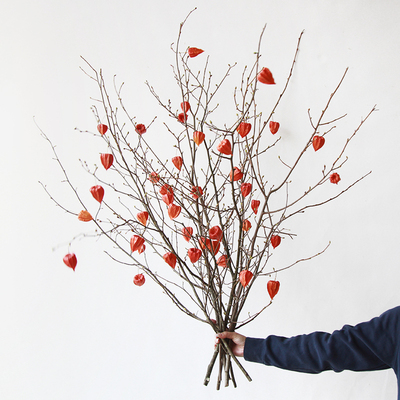 狂想者干花束摆件装饰