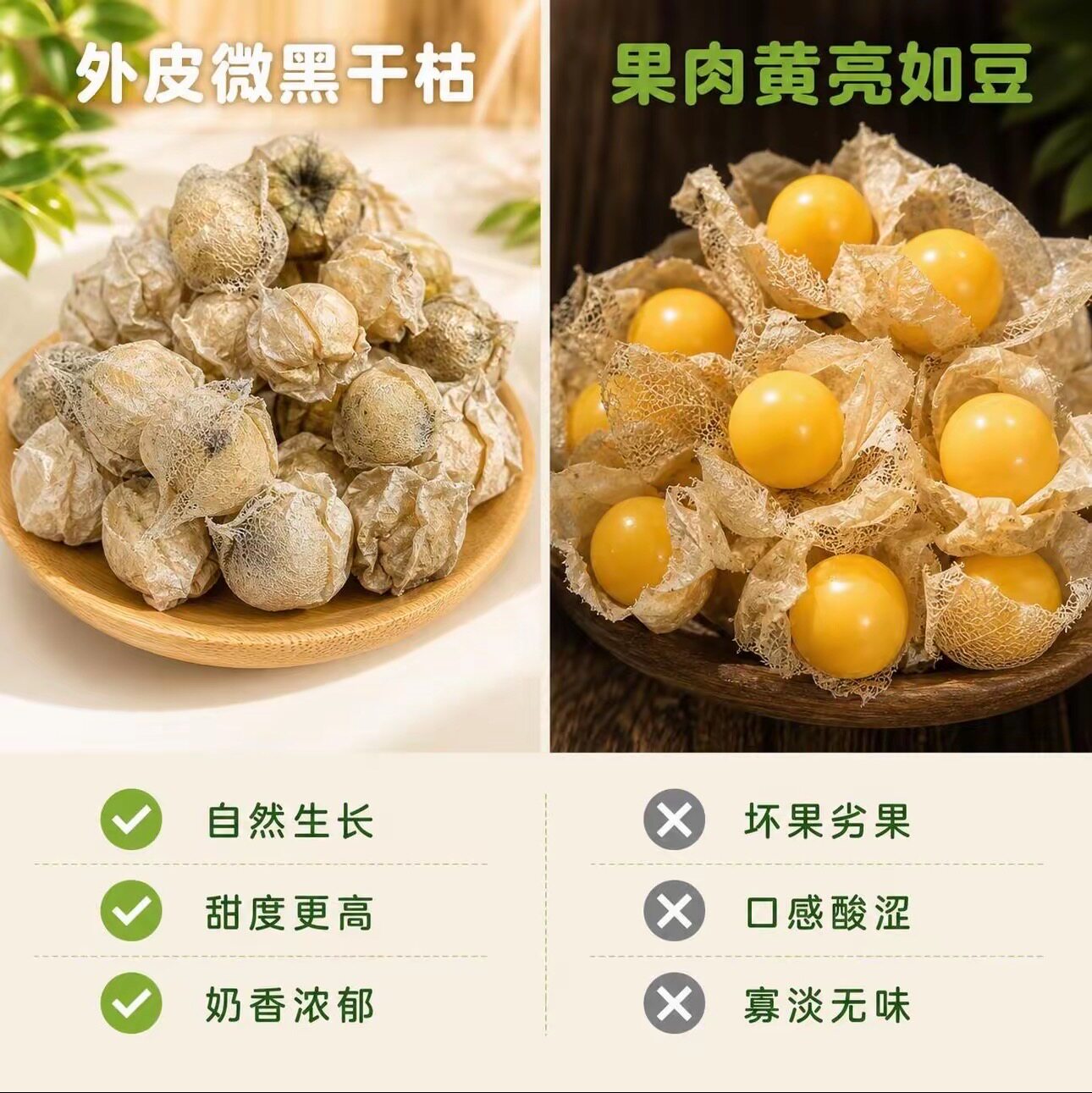 东北姑娘果香甜可口新鲜灯笼果现摘现发黄姑娘果甘甜多汁甜菇娘果