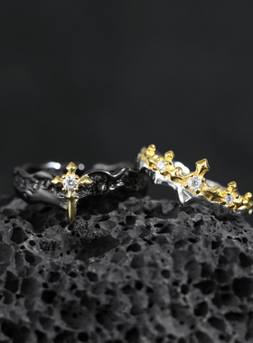 禾派 公主骑士情侣银戒指情人节S925纯银小众百搭高级感戒指