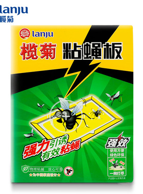 榄菊4片装粘蝇板强力引诱有效物理粘蝇绿色环保一网打尽室内室外W