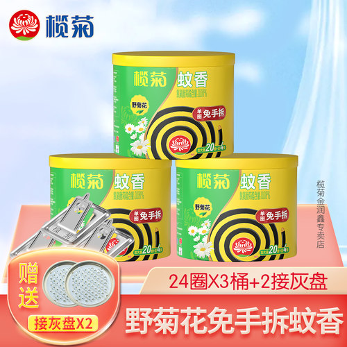 免拆24圈野菊花型榄菊正品