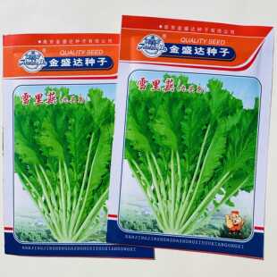 九头鸟细叶雪里红菜籽酸菜咸菜腌菜雪菜安徽雪里蕻菜种籽青菜种子