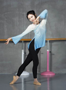 古典舞练功服女成人身韵舞蹈纱衣教师演出服喇叭袖艺考形体服上衣