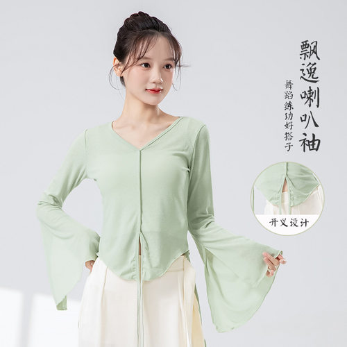 舞者之歌古典舞纱衣中国舞服装