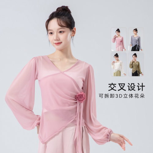舞者之歌国风古典舞练功服女