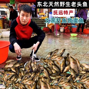 黑龙江土特产东北鲜活老头鱼新鲜速冻山胖头大头鱼食用淡水小杂鱼