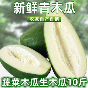 广西青木瓜新鲜生木瓜产妇下奶用土木瓜水果沙拉腌酸现摘凉拌菜瓜