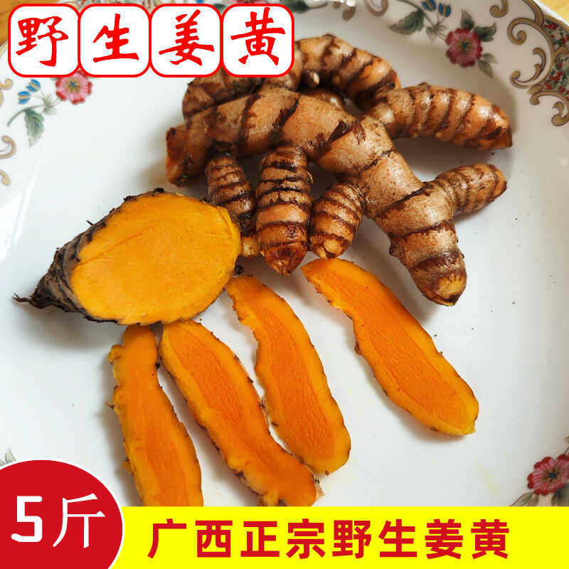 广西新鲜野生姜黄生姜药用姜月子小黄姜染色姜冬阴功姜黄咖喱姜